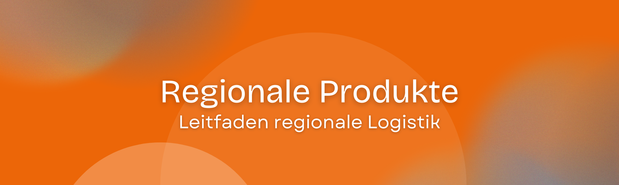 Leitfaden regionale Logistik