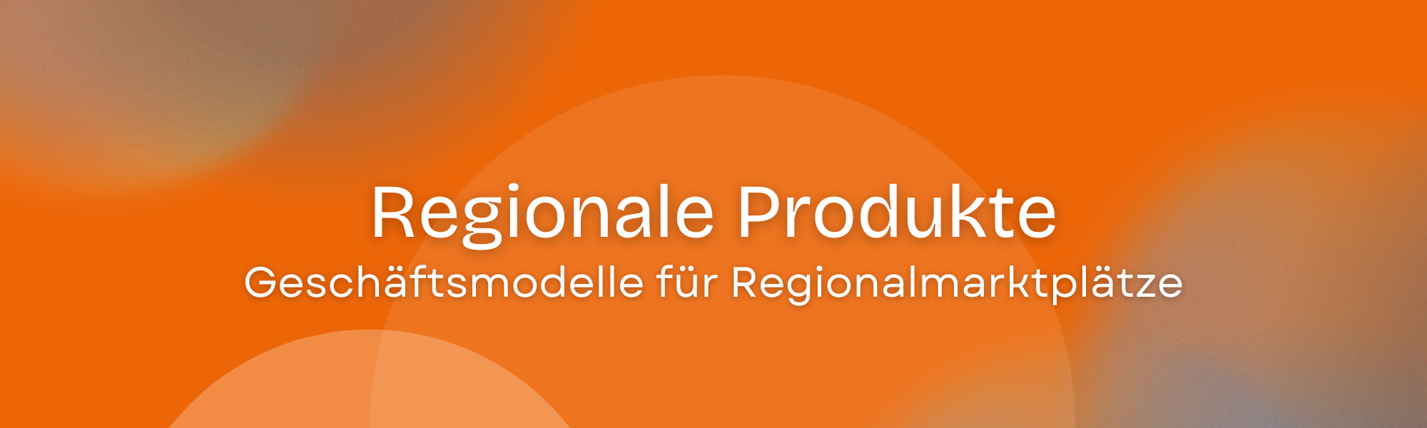 Geschäftsmodelle für Regionalmarktplätze – Entscheidungshilfe zur Finanzierung von Marktplatzmodellen